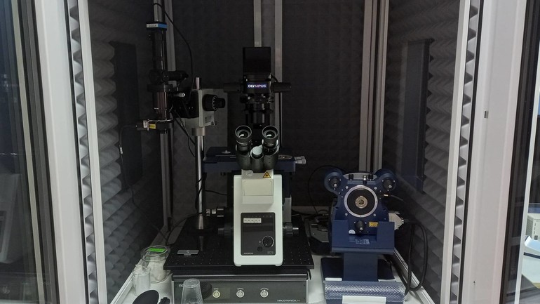 Mikroskop atomskih sila (AFM) vezan s invertnim fluorescencijskim mikroskopom
